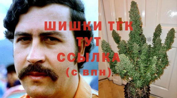 винт Богданович