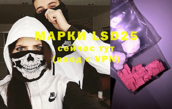 винт Богданович