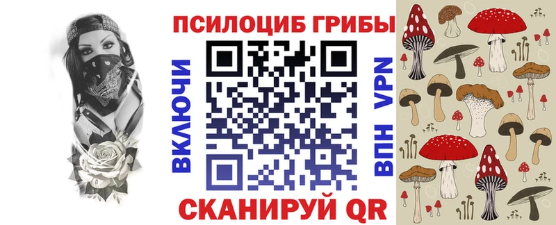 Псилоцибиновые грибы Psilocybine cubensis Юхнов